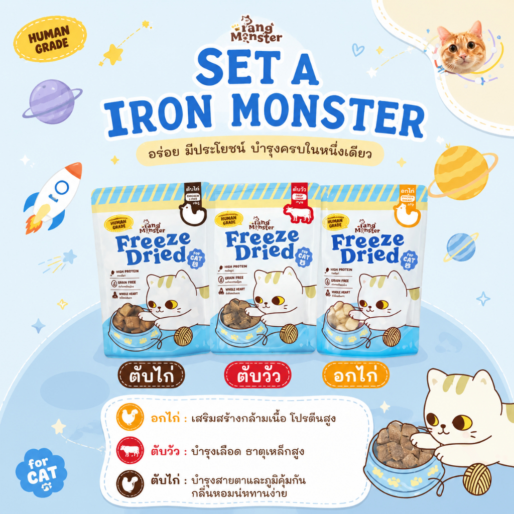 Pang Monster space set box