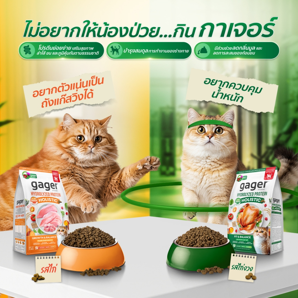 Gager อาหารแมว โฮลิสติก กาเจอร์ แพ็คคู่ สูตรไก่&สูตรไก่งวง เสริมวิตามิน เพื่อสุขภาพ พัฒนาโดยสัตวแพทย์ (แพ็คคู่)