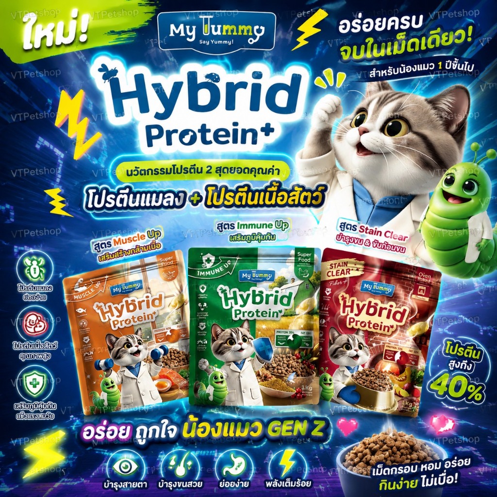 1 Kg ) My Tummy อาหารแมว PREMIUM My Tummy ( 1 Kg )