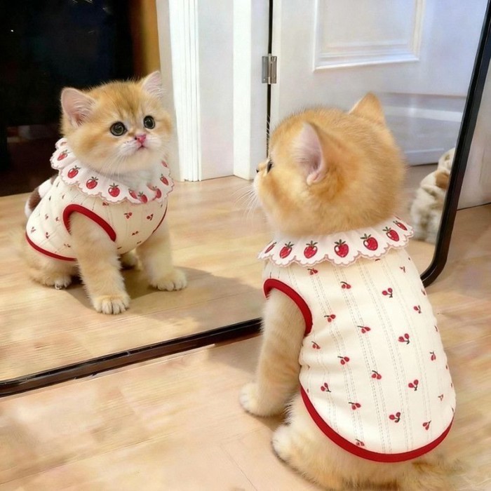 แมวเชอร์รี่เสื้อกั๊กฤดูร้อนสัตว์เลี้ยงระบายอากาศเสื้อผ้าบาง0.5-7.5กิโลกรัม