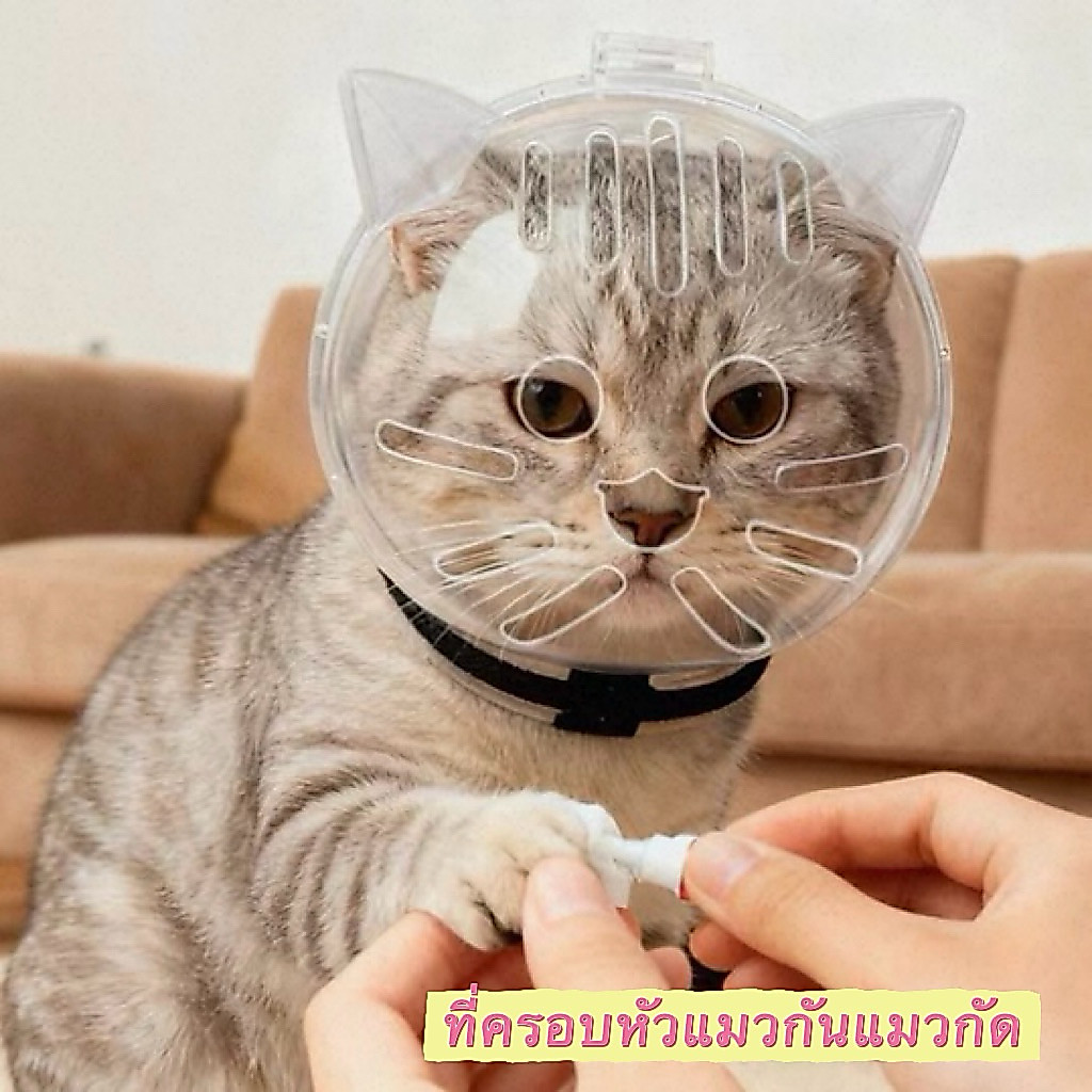 ในไทย! ที่ครอบหัวแมวกันแมวกัด ป้องกันการกัดและเลีย น้ําหนักเบา ใช้งานง่าย