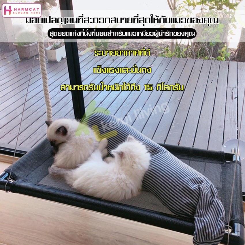 Harmcat อุปกรณ์แมว เบาะแมว ของเล่นแมว เปลญวนแมว สําหรับติดกระจกหน้าต่าง เปลสําหรับแมว ติดผนัง ที่นอนสัตว์เลี้ยง