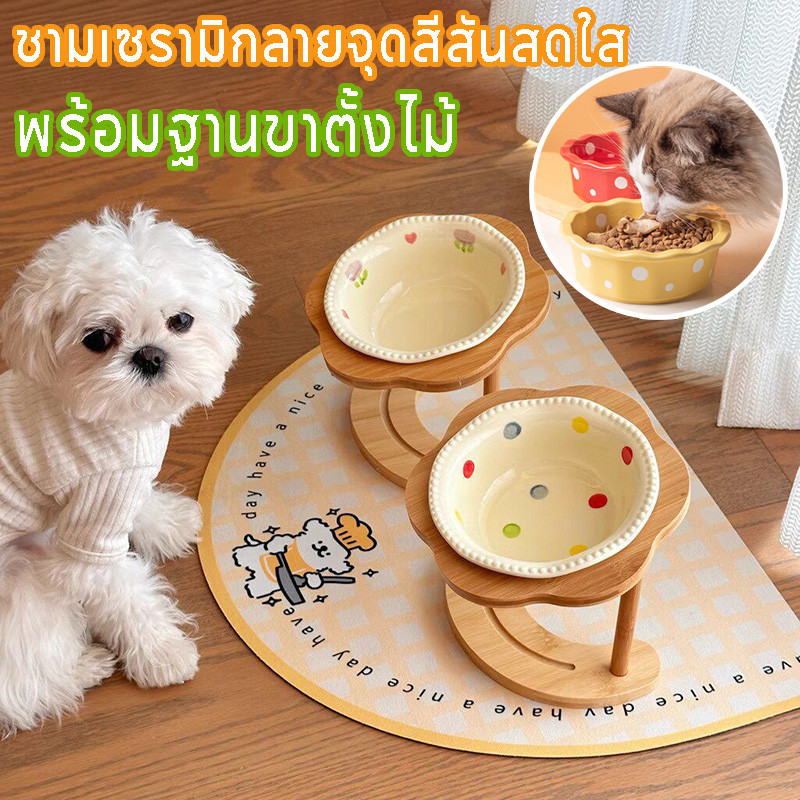 ชามเซรามิกลายจุดสีสันสดใส พร้อมฐานขาตั้งไม้ รวมกันในเซ็ทเดียว ใช้ได้ทั้งอาหารแห้งและเปียก แมวกินสบาย
