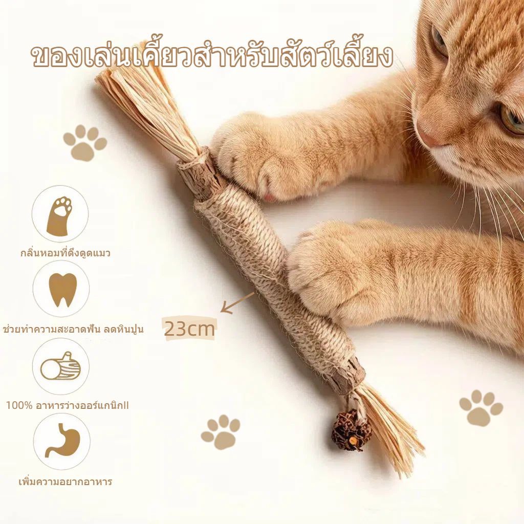 CAT&DOG】ไม้แมวเมา อันใหญ่ ไม้ขัดฟันแมว มาทาบิ ไม้มาทาทาบิ ของเล่นแมว ลดคราบหินปูน กัญชาแมว ขนาดเหมาะกับแมวมากที่สุด