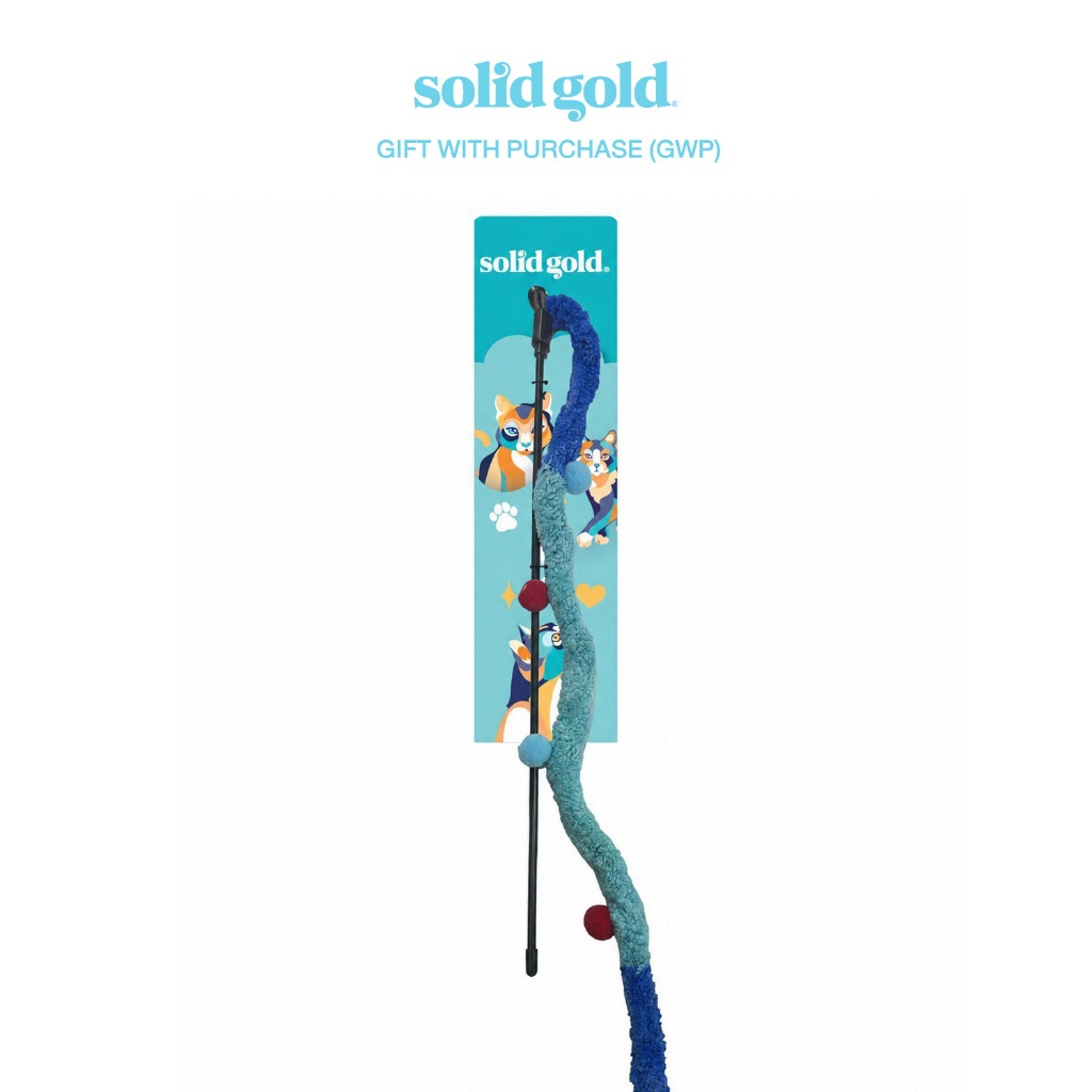 GIFT] Solid Gold ไม้ตกแมว ของเล่นผ่อนคลายสําหรับแมว (สุ่มลายส่ง)