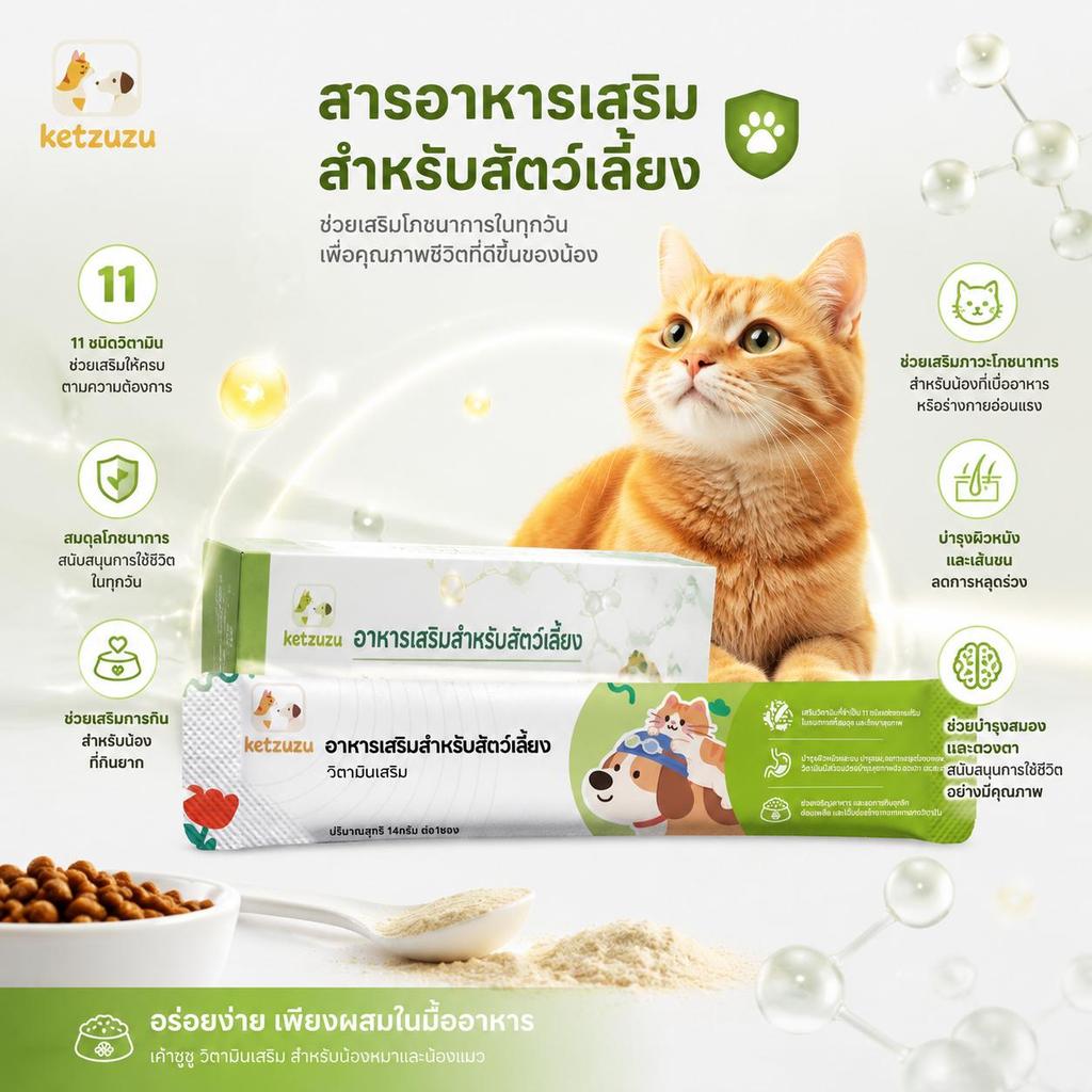 Ketzuzu 12/24 แพ็ค วิตามินแมว เสริมภูมิคุ้มกันแมว วิตามินรวม 11 วิตามิน ช่วยแมวแข็งแรง 14g