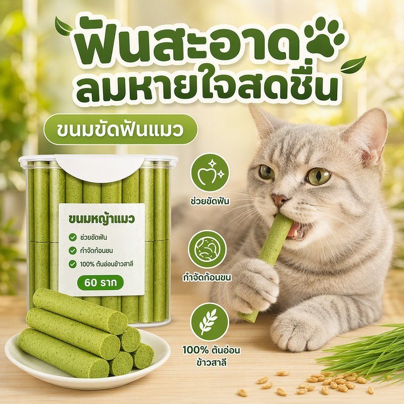 หญ้าแมว ขนมหญ้าแมว ขัดฟัน กําจัดก้อนขน ต้นอ่อนข้าวสาลี แมวเลียเล่น ขนมแมว 60 ชิ้น