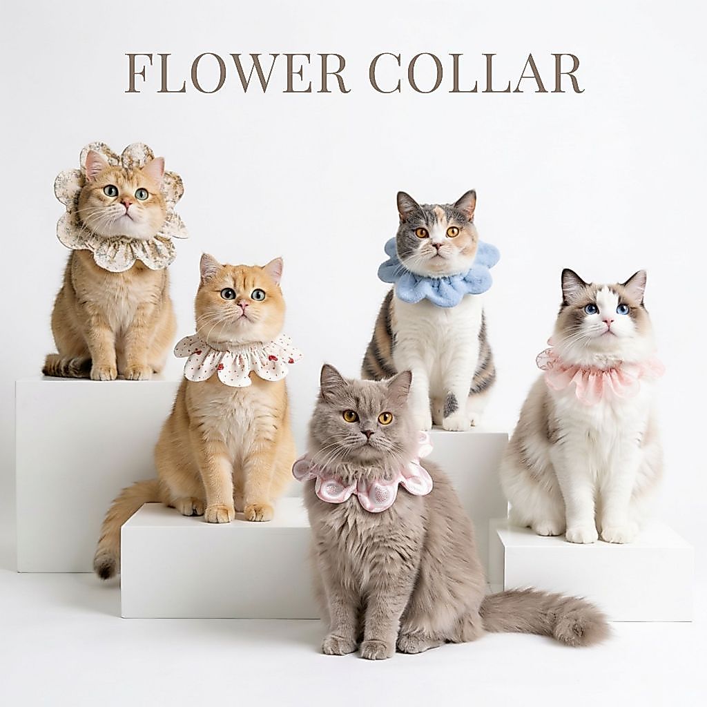 SRR FLOWER COLLAR ปลอกคอสําหรับแมว เบาสบายตัว ดีไซน์และผลิตจากเกาหลี