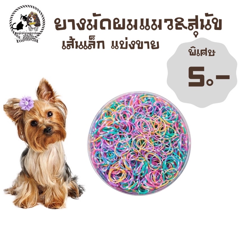 ยางมัดผมสัตว์ สุนัข &แมว ขนาดเล็ก🐶 ราคา ถุงละ5 บาท มีชําระปลายทางค่าจัดส่ง22 บาท