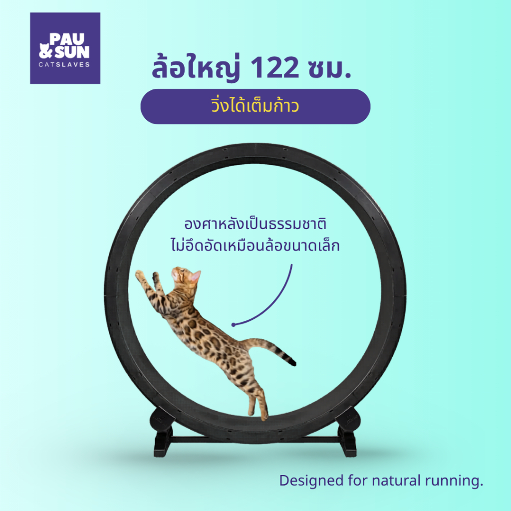 Pau & Sun ล้อวิ่งแมว 122 ซม. Premium Cat Wheel ลู่วิ่งแมว อุปกรณ์ออกกําลังกายแมว เงียบ มั่นคง สําหรับบ้านและคอนโด