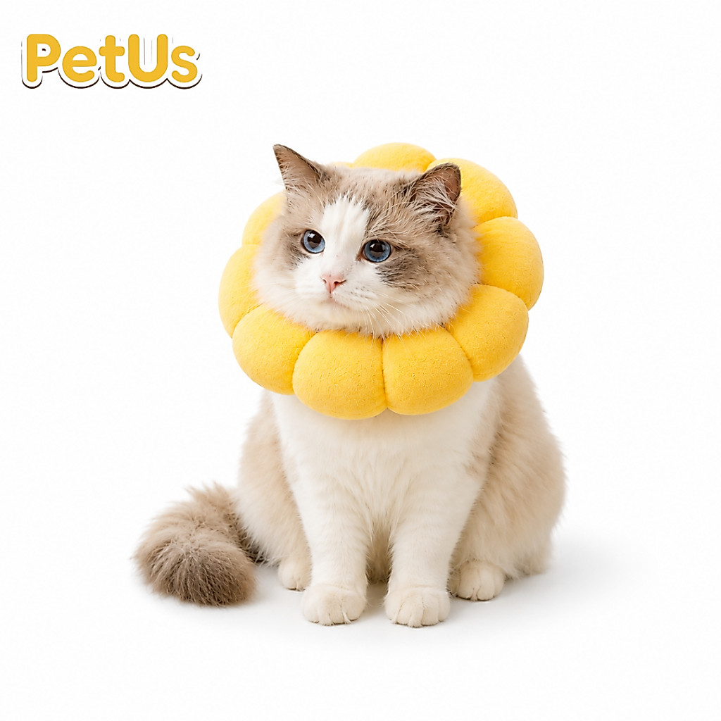 Petus ปลอกคอกันเลียสัตว์เลี้ยง คอลล่า ลําโพงกันเลีย ปลอกคอสุนัข แมว ปรับขนาดได้