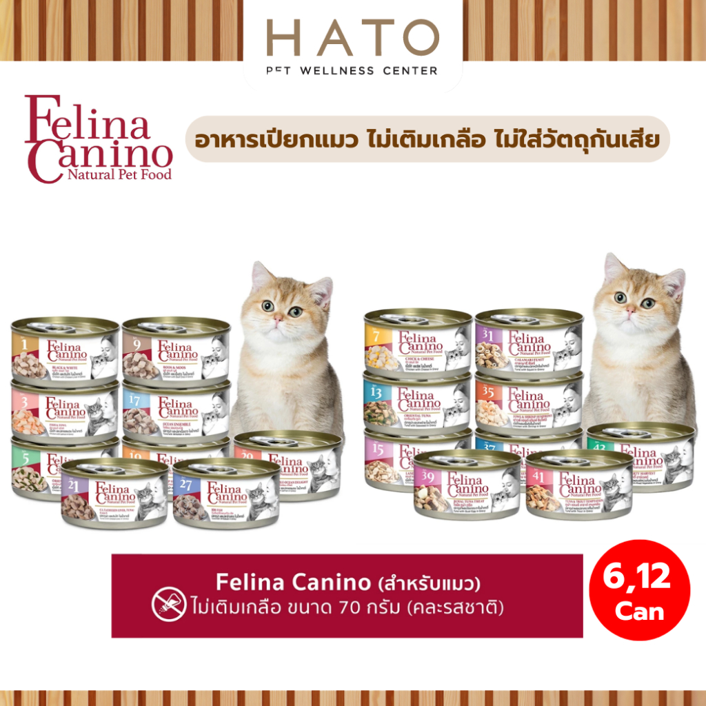 6,12 กระป๋อง] Felina Canino (สําหรับน้องแมว) อาหารเปียก ไม่เติมเกลือ ไม่ใส่วัตถุกันเสีย 70 กรัม