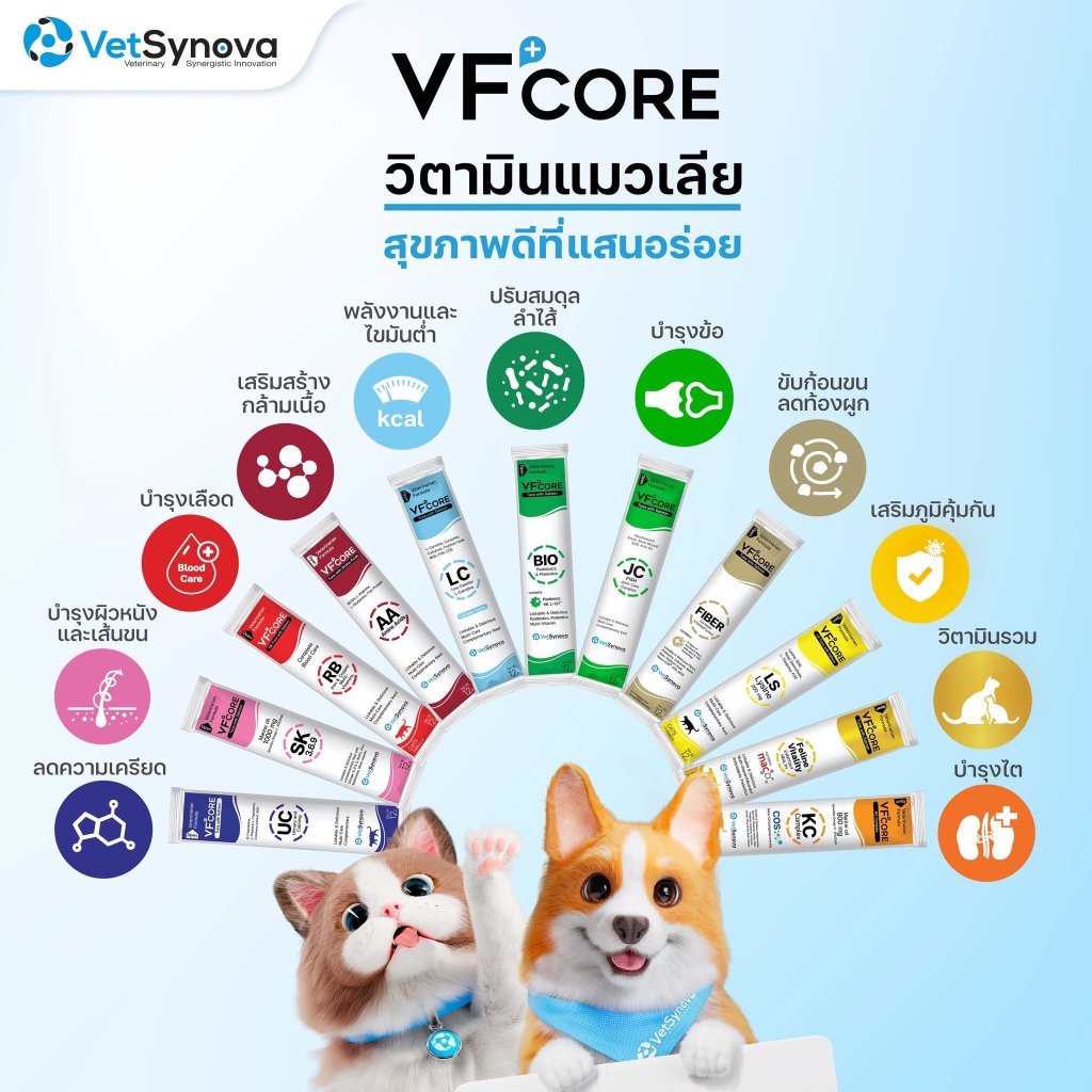 30ซอง] VFcore VF+Core ขนมเลีย อาหารเสริม วิตามินรวมของสุนัขและแมว 12กรัม