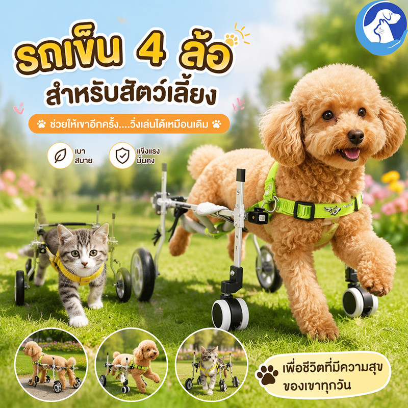 รวีลแชร์สุนัข รถเข็นสัตว์เลี้ยง แข็งแรง สุนัข/แมวที่ขาหลังอ่อนแอ พิการ หรืออัมพาต ปกรณ์ช่วยฟื้นฟู