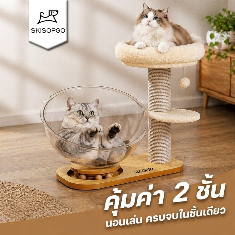 ที่นอนแมว หลุมแมว อะคริลิคใส เตียงแมว ทรงวงกลม รังแมว พร้อมของเล่นหมุน สําหรับแมว
