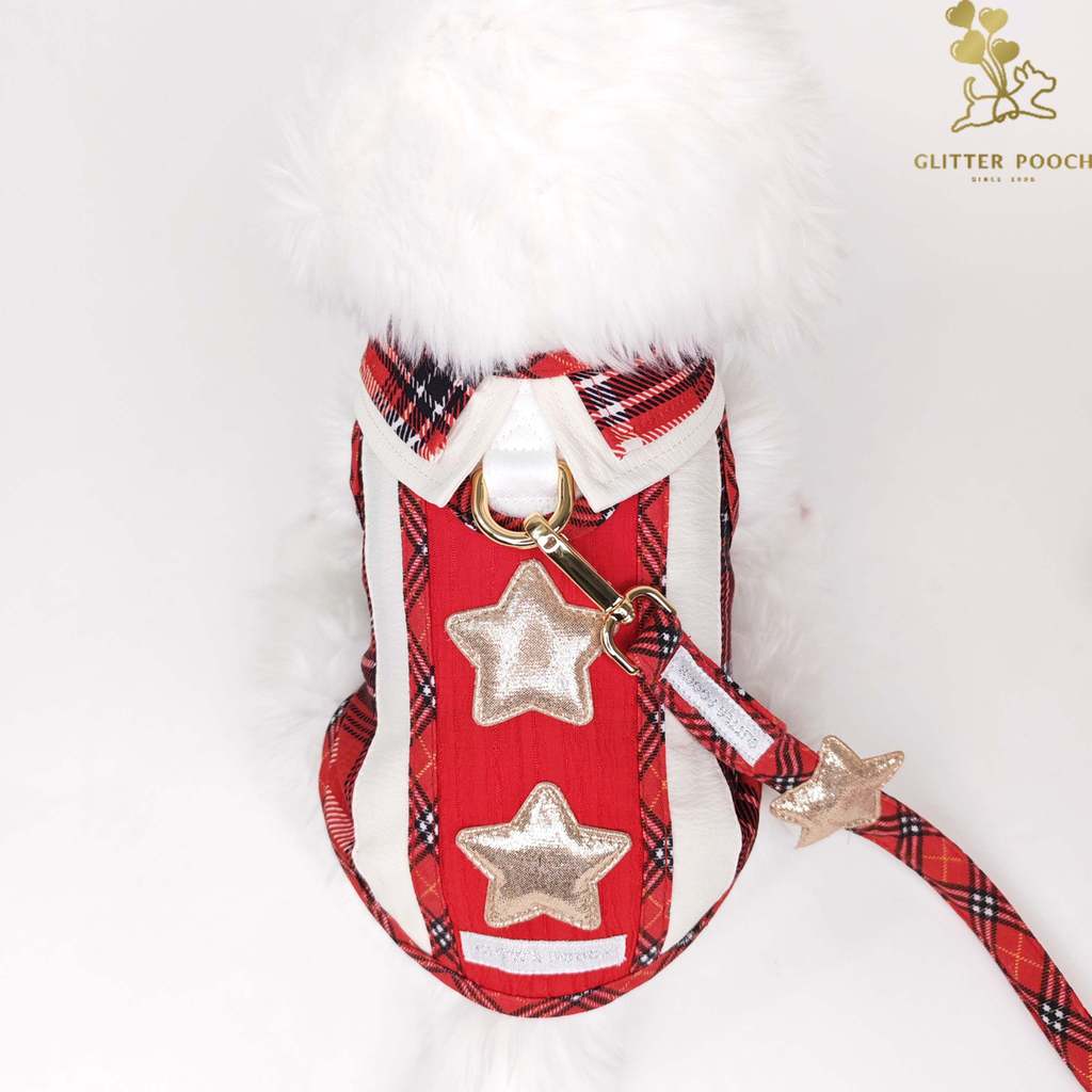 Harness ชุดรัดอก สายจูง เสื้อผ้า สุนัข, หมา, แมว, สัตว์เลี้ยง พร้อม สายจูง รุ่น Starry Noel Soirée Boy