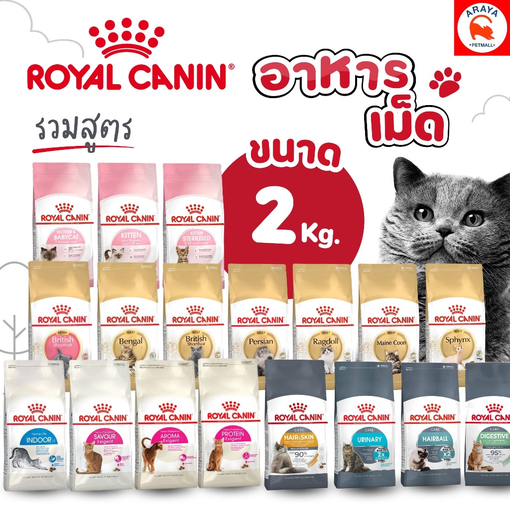 2kg.* Royal canin อาหารเม็ดแมว