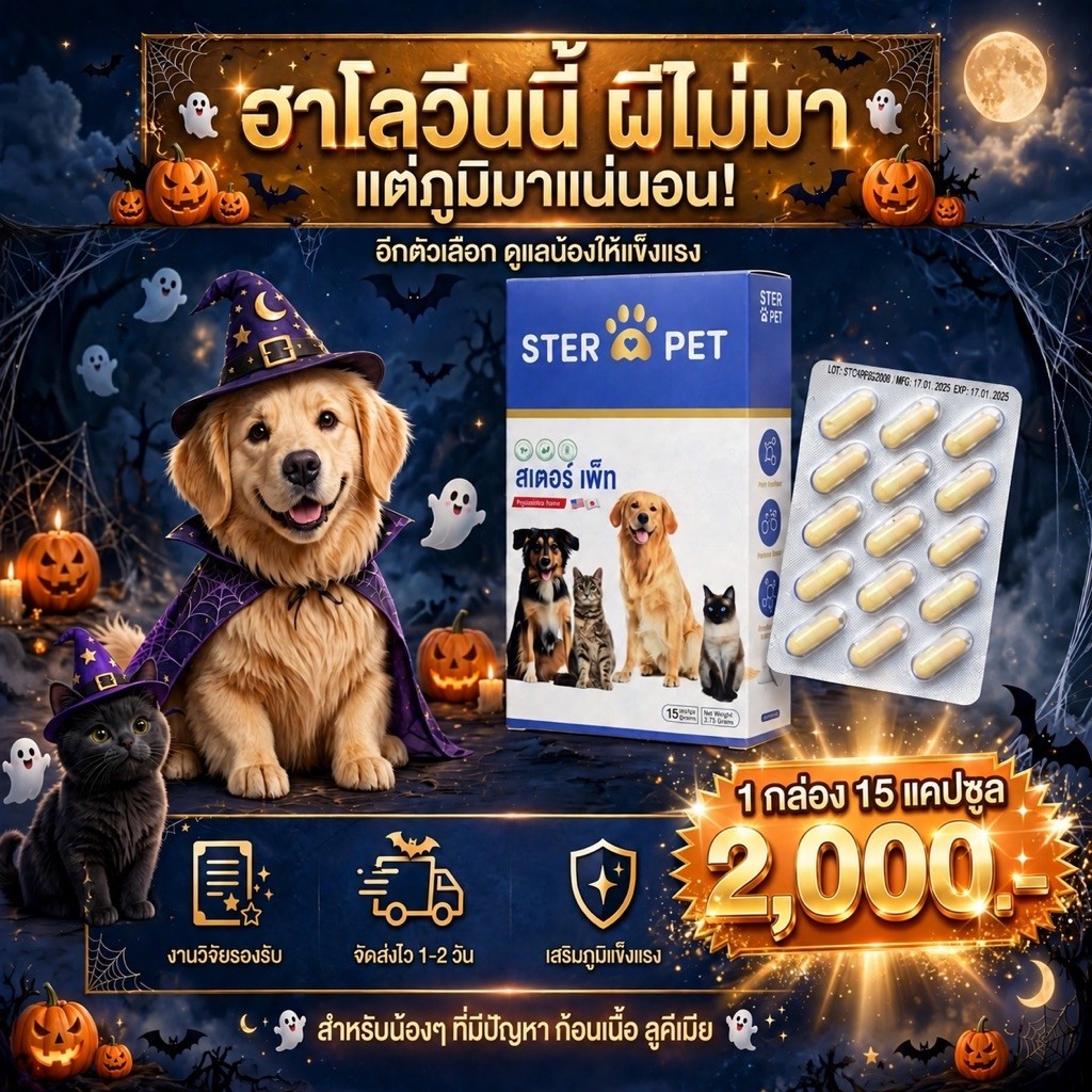 STER PET (1 กล่อง 15 แคปซุล) สารอาหารเสริมภูมิหมาแมว เนื้องอก แผลปะทุ ไม่เสี่ยง