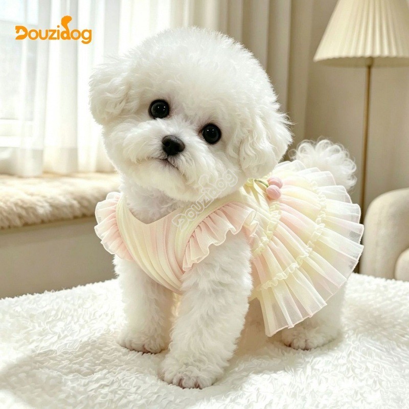 กระโปรงสุนัขฤดูร้อน Breathable Gradient กระโปรง Shih Teddy Pomeranian Chihua Universal สําหรับสุนัขแมว Douzidog