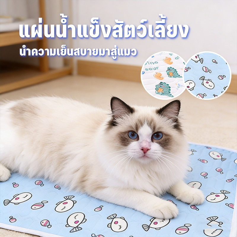 ที่นอนเจลเย็น ที่นอนเย็นสัตว์เลี้ยง Pet Cool Mat วัสดุลาเท็กซ์ เย็นสบาย ใช้ได้ทั้งแมว-สุนัข ระบายความร้อนที่ยาวนาน