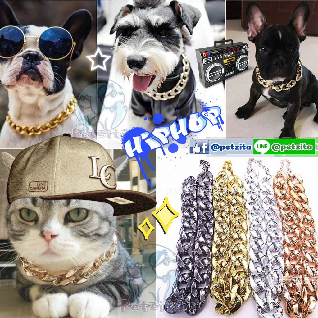 สร้อยโซ่ทอง โซ่เงิน บริ๊งๆ สุดฮิพฮอพ For PET 💫 สร้อยคอสัตว์เลี้ยง สุนัข หมา แมว