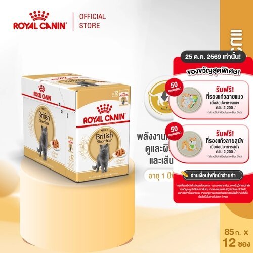 ยกกล่อง 12 ซอง] Royal Canin British Shorthair Pouch Gravy โรยัล คานิน อาหารเปียกพันธุ์บริติชชอร์ทแฮร์ อายุ 12 เดือนขึ้น