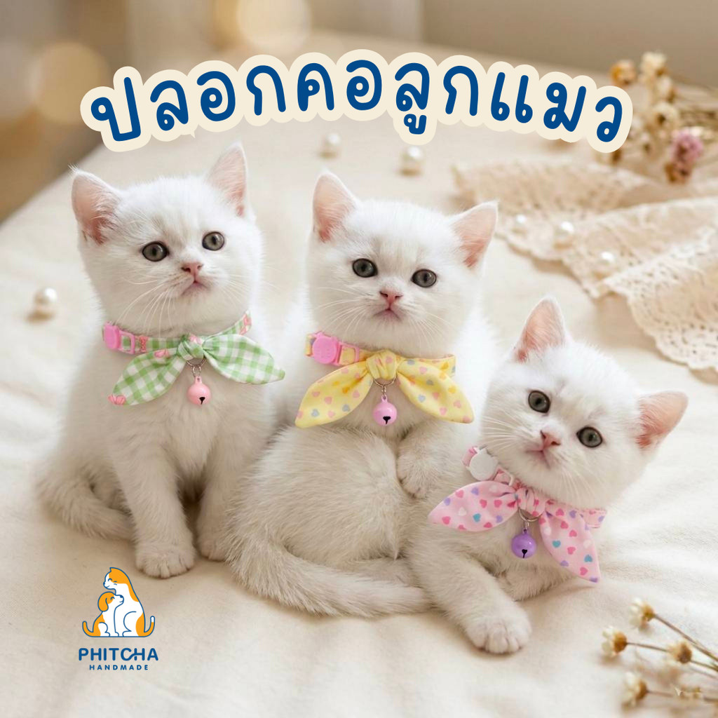ลูกแมว) ลายหัวใจ • ปลอกคอแมวผ้า • (ล็อคนิรภัย) • ปลอกคอแมวน่ารัก • ปลอกคอลูกแมว