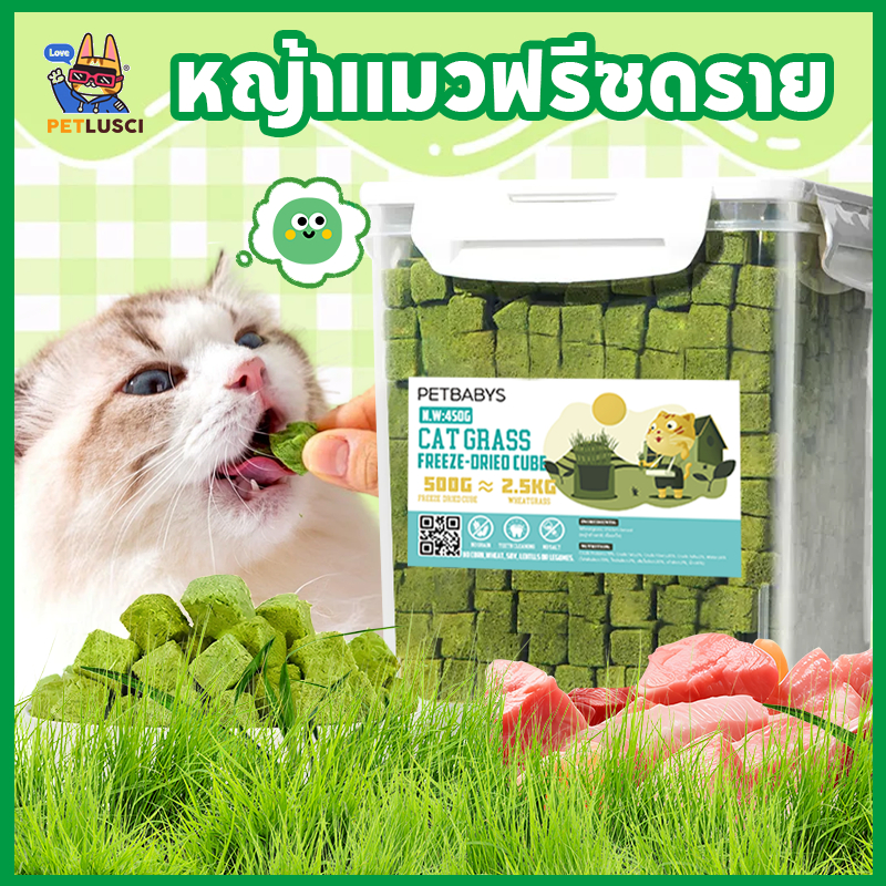 PETLUSCI😻หญ้าแมวฟรีซดราย 640กรัม ขนมแมว โปรตีนสูง ช่วยขับขนในลําคอ ผสมอกไก่แท้ ขนมหญ้าแมวบํารุงขน