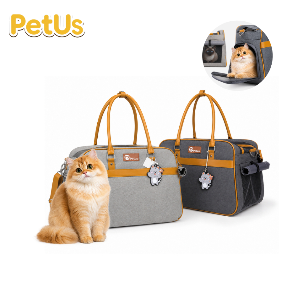 Petus กระเป๋าเดินทางสัตว์เลี้ยง กระเป๋าใส่สุนัขแมว พับเก็บได้ ระบายอากาศ 3 ด้าน พกพาสะดวก Petus Kingkaew