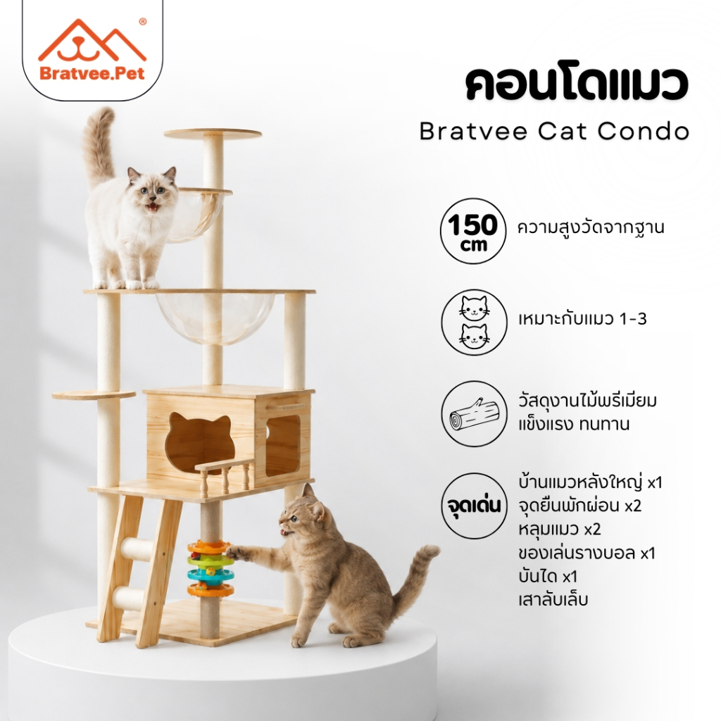 Bratvee] คอนโดแมว 2 หลุม สูง 150 ซม. รุ่นใหญ่! พร้อมรางบอลของเล่นแมว เสาลับเล็บแมว หลุมนอนเยอะ ปีนสนุก แมวติดใจ