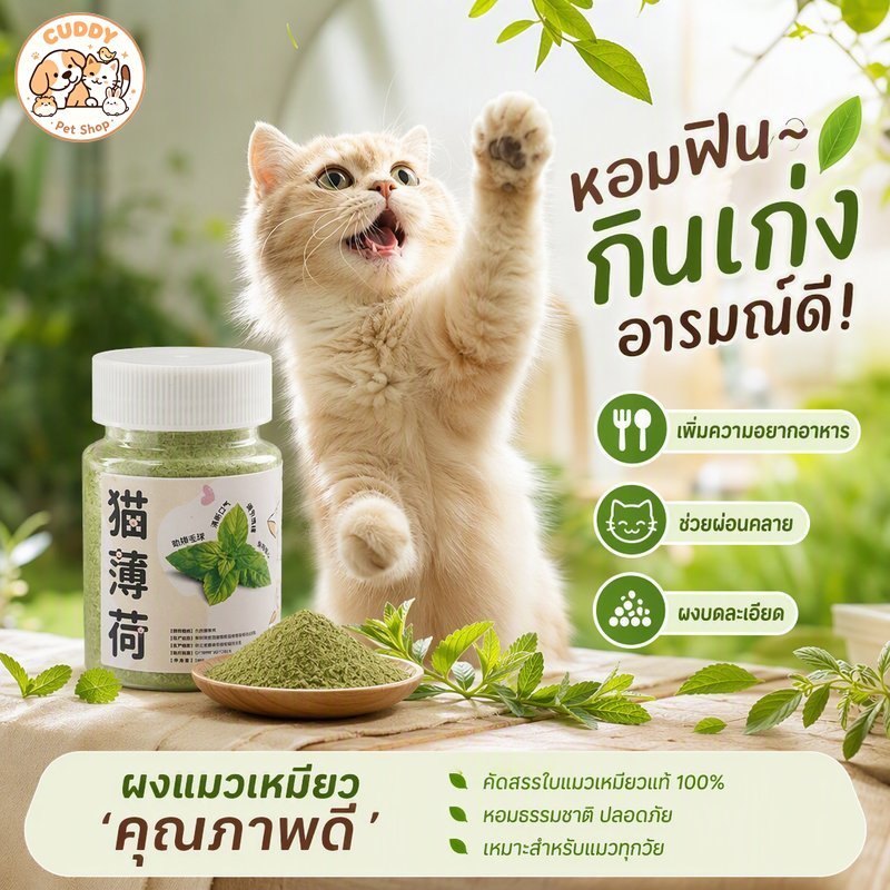 ผงแคทนิป แมว กัญชาแมว บดละเอียด กระปุก 250ml กลิ่นหอม โรยอาหาร ของเล่น ที่ลับเล็บ