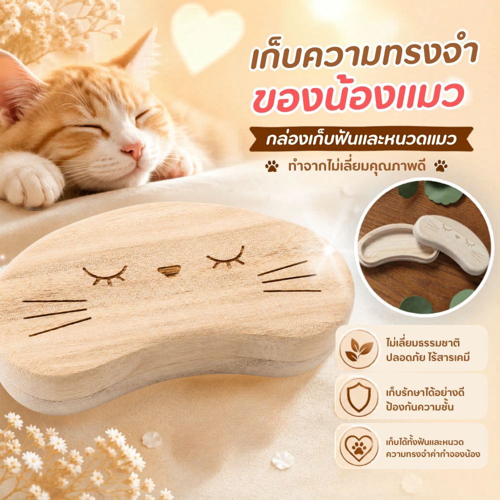 กล่องเก็บหนวดแมว Cat Whisker Case กล่องเก็บฟันสัตว์เลี้ยง Pet Teeth Box ไม้แท้ Bean Shape
