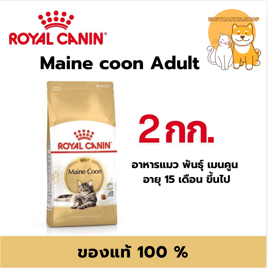 Royal canin Adult Maine coon 2 kg. ชนิดเม็ดสําหรับแมวโตพันธุ์เมนคูน อายุ 15เดือนขึ้นไป