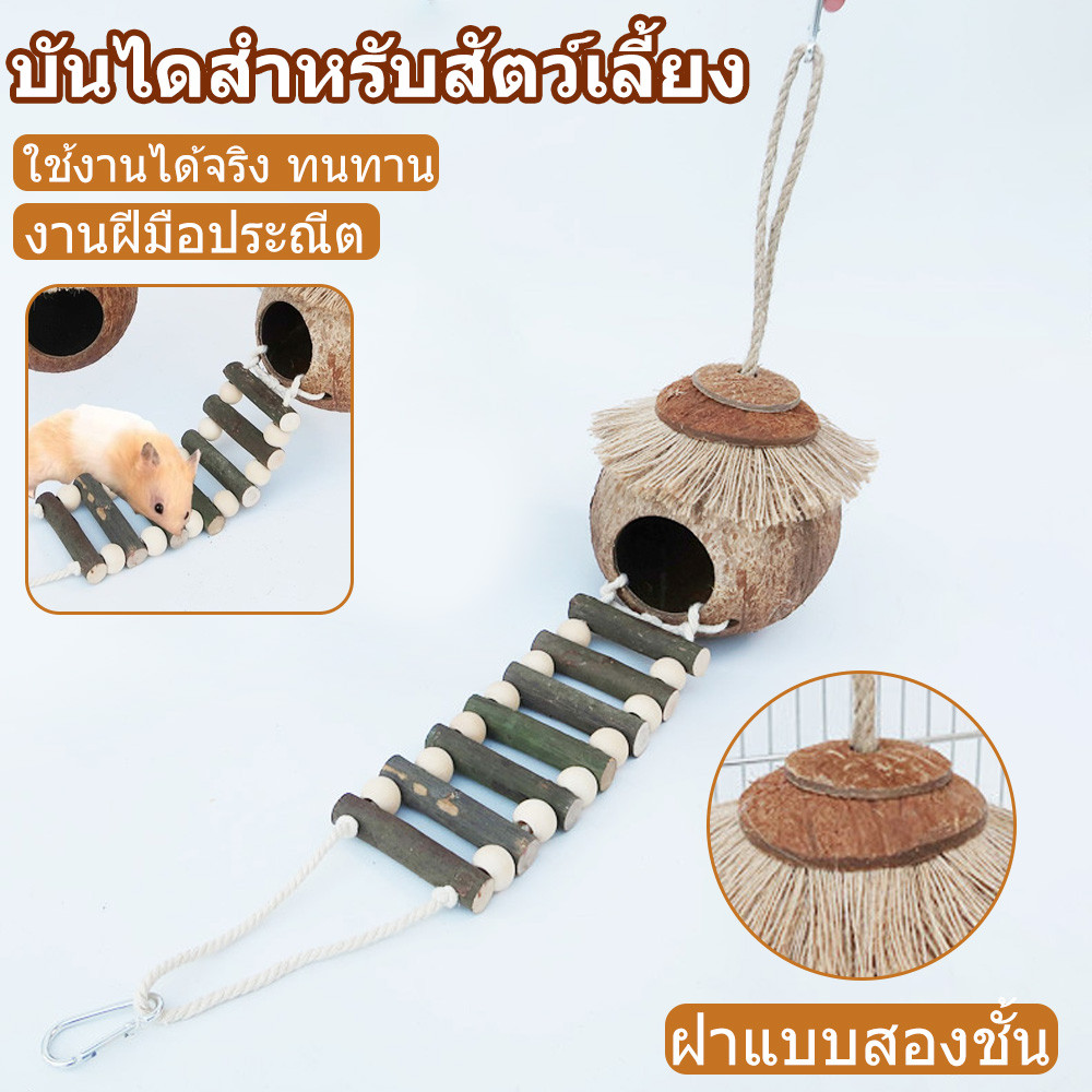 คอนยืนนกแก้วขนาดเล็ก ของเล่นนกแก้ว บันไดนก