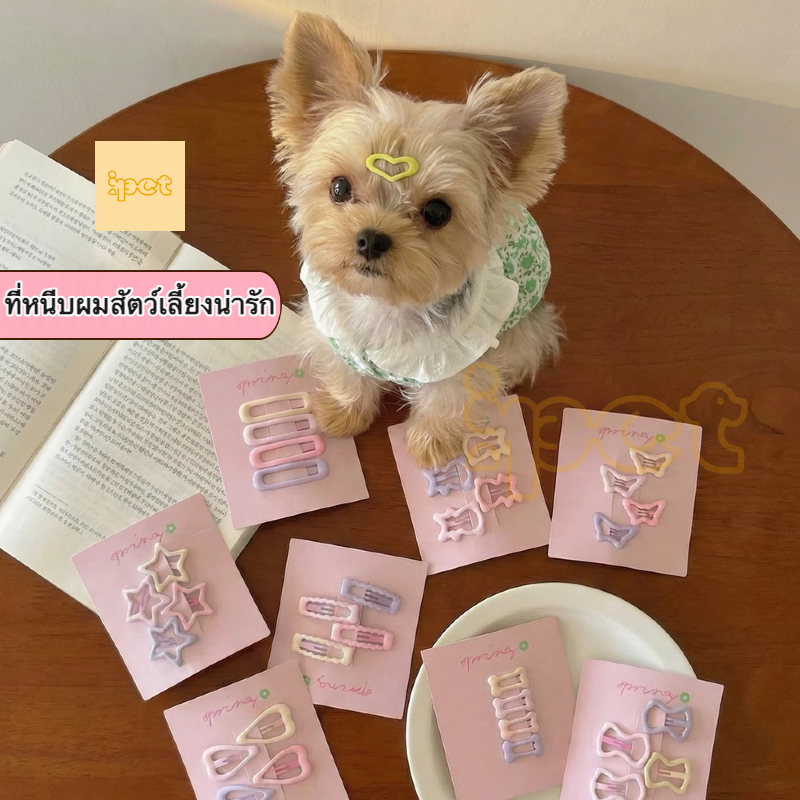 กิ๊บติดขนสัตว์เลี้ยง น่ารัก 🐶🐱 กิ๊บเก็บไรผม/เก็บหน้าม้า สําหรับหมาแมว ชิสุ มอลทีส ยอร์คเชียร์