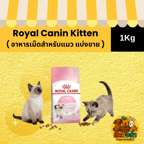 1Kg. ) อาหารเม็ดแมว Royal Canin Kitten