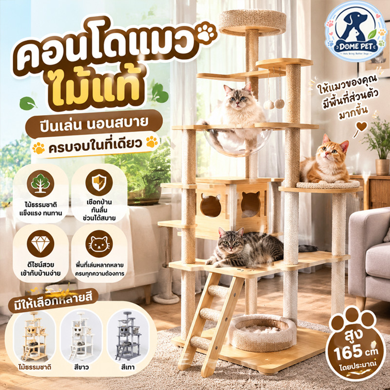 คอนโดแมว ไม้ ปีนป่าย หลายชั้น บ้านแมว โดมใส เสาลับเล็บ บันได ลูกบอลแขวน ที่นอนแมว ขนาดใหญ่