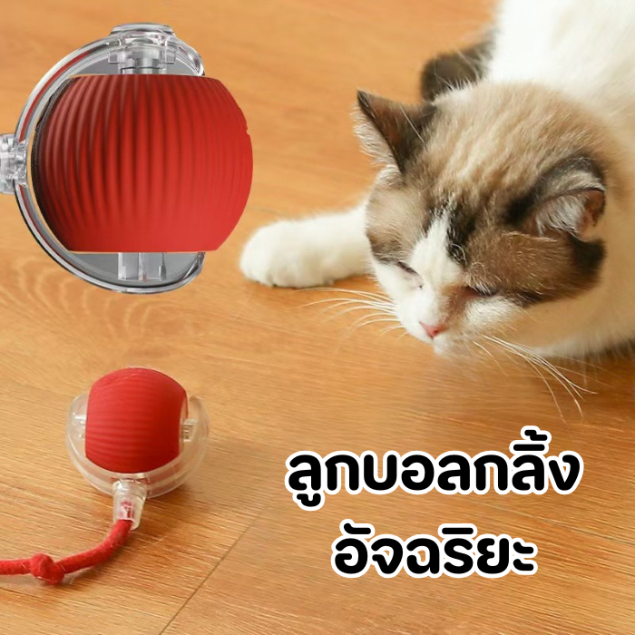 ของเล่นแมวอัตโนมัติ ของเล่นแมว ลูกบอลกลิ้งอัจฉริย สําหรับในร่ม USB ชาร์จ