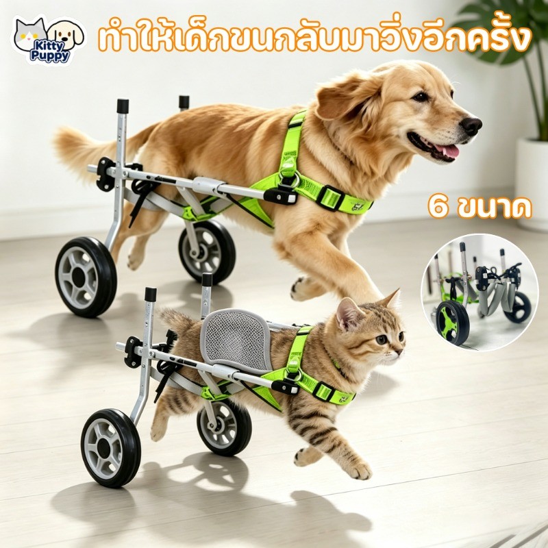 รถเข็นสัตว์เลี้ยง ปกรณ์ช่วยฟื้นฟู วัสดุอลูมิเนียม ปรับขนาดได้ แข็งแรง ทนทาน สุนัข/แมวที่ขาหลังอ่อนแอ