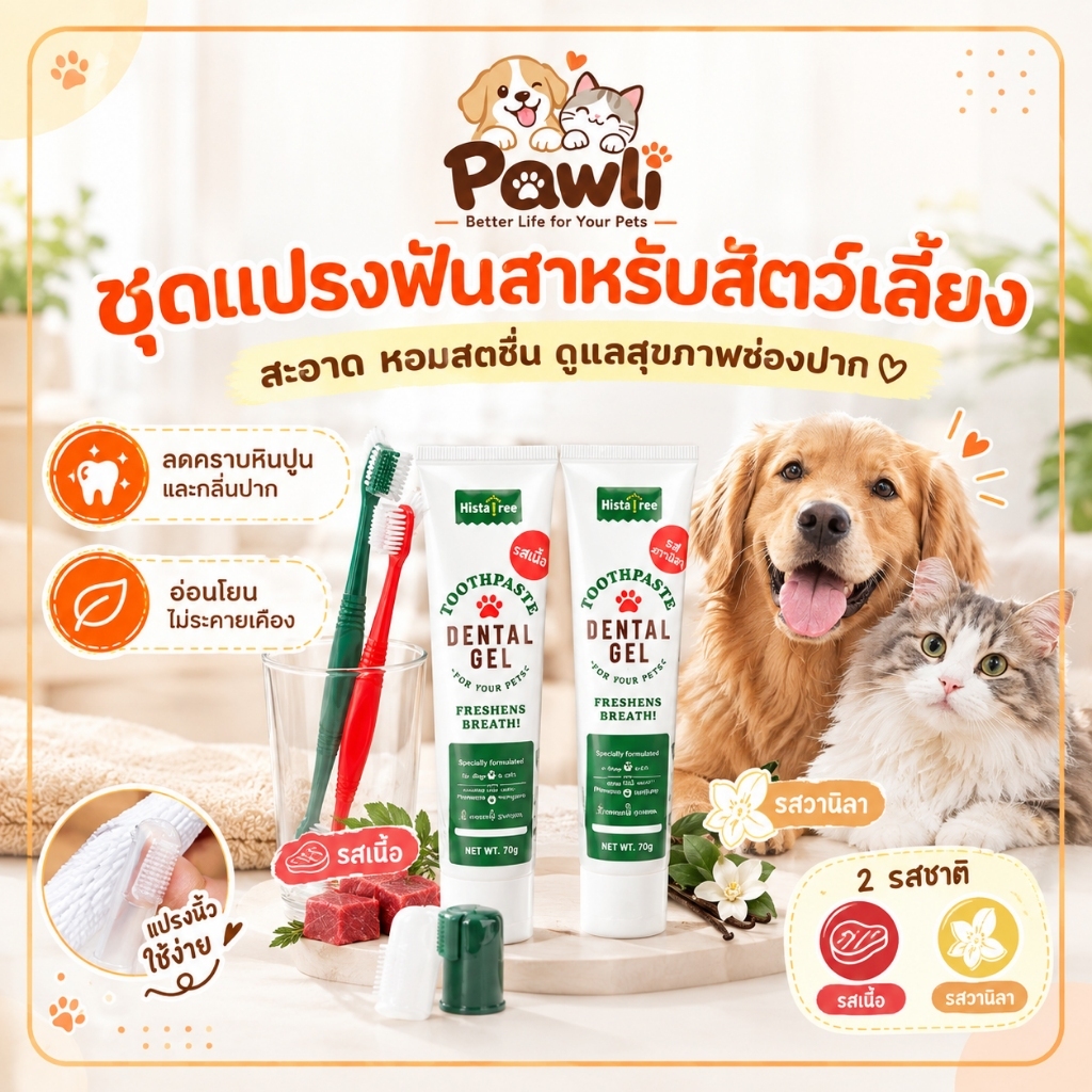 ชุดแปรงสีฟันสัตว์เลี้ยง 3 หัวแปรง+ยาสีฟัน สุนัขแมว ขนแปรงนุ่ม ไม่เจ็บเหงือก ขจัดคราบหินปูน ลดกลิ่นปาก ดูแลช่องปาก