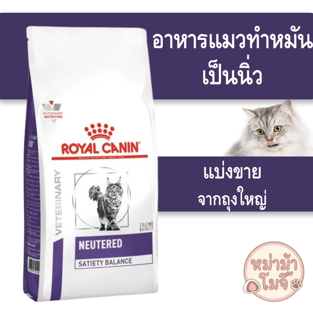 แมวสูงวัย เมจอร์]] (( )) อาหารแมวแก่ Royal Canin Mature consult Cat สําหรับแมวสูงอายุ 7ปีขี้น
