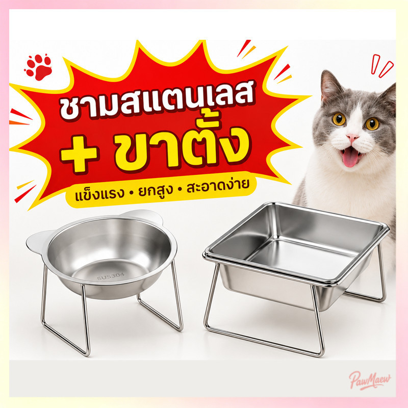 ชามอาหารแมวสแตนเลส ชามแมวยกสูง เอียง 15° พร้อมขาตั้ง ชามอาหารสัตว์เลี้ยง กันคางดํา ลดการก้มคอ ใช้ได้ทั้งแมวสุนั