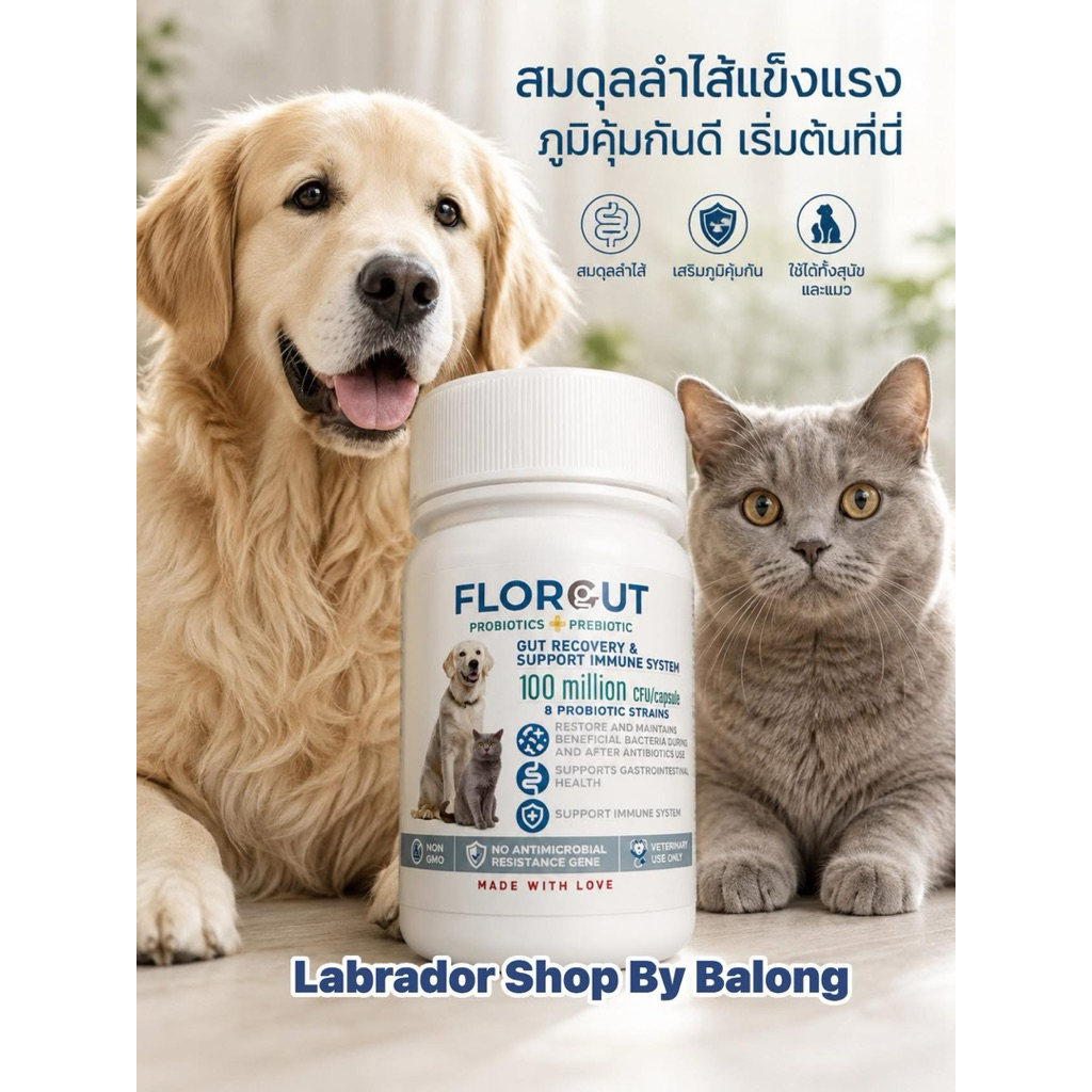 Florgut 30 แคปซูลExp.2028 ❤ อาหารเสริมโปรตีน พรีไบโอติกและโพรไบโอติก ปรับสมดุลลําไส้ สําหรับสุนัขและแมว