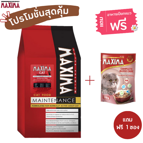 MAXIMA CAT MAINTENANCE 2 KG.อาหารสําหรับแมว 2 กก. แถมฟรี อาหารเปียกแมว