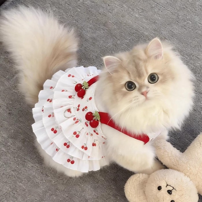 แมว สุนัข ยูนิเวอร์แซล 0.5-6.5กก