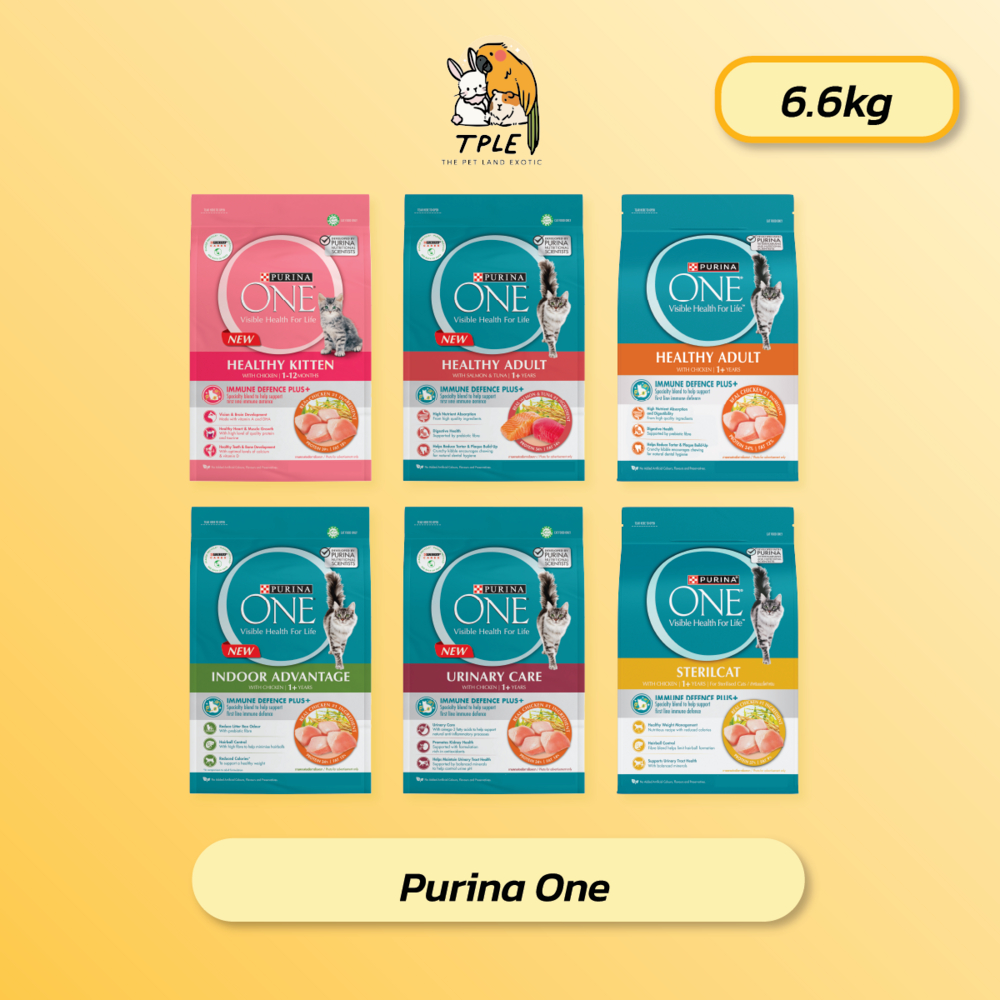 Purina ONE เพียวริน่า วัน อาหารแมว ขนาด 6.6kg
