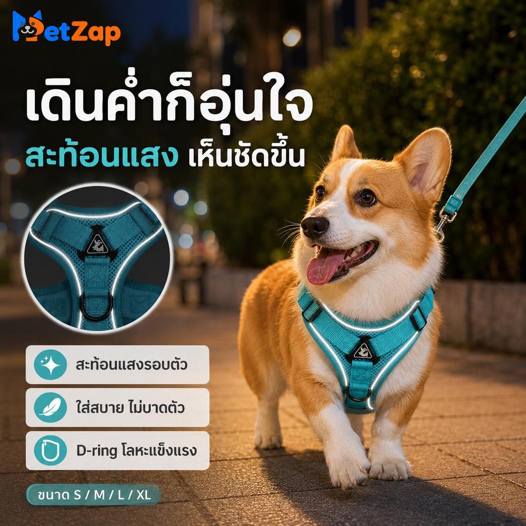 PetZap】สายรัดอกสุนัข สายจูงหมา สายรัดอกแมว สะท้อนแสง ระบายอากาศได้ดี ไม่รัดคอ อุปกรณ์สัตว์เลี้ยง COD