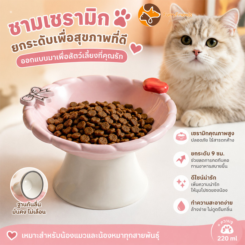 ชามเซรามิคแมว ชามอาหารแมวเซรามิก ชามเซรามิคหมา รูใหญ่ ป้องกันการพลิกคว่ํา ฐานที่มั่นคง