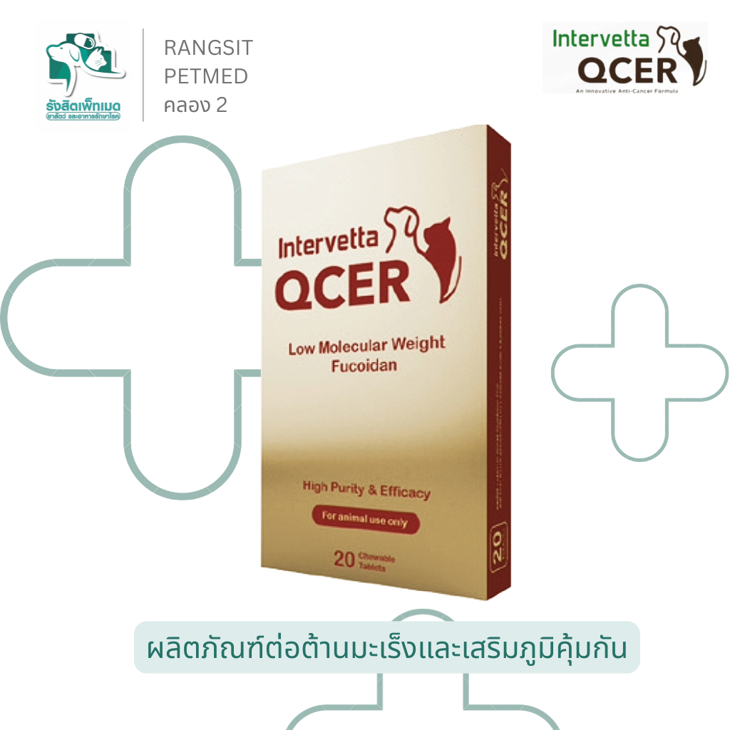 Intervetta QCER Low Molecular Weight Fucoidan 20 เม็ด | อาหารเสริมสําหรับสุนัขและแมว เสริมภูมิคุ้มกัน ต้านมะเร็ง