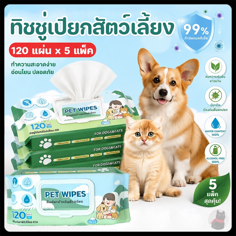 5 แพ็ค】ทิชชู่เปียกสัตว์เลี้ยง ผ้าเปียกแมว ผ้าเปียกหมา ทําความสะอาด พกพาสะดวก ของใช้แมว กลิ่นหอมๆ